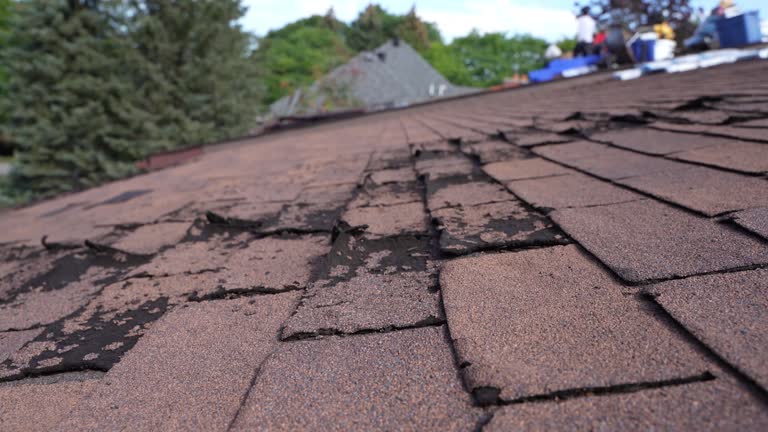 Best Roof Insulation Installation  in Livingston, CA